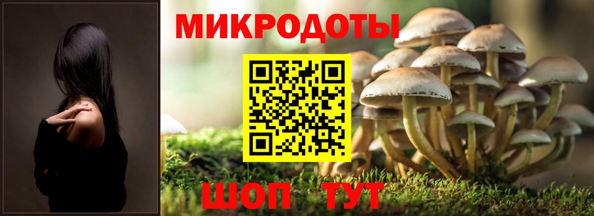 Зеленокумск  Псилоцибиновые грибы Psilocybine cubensis  продажа наркотиков  Псилоцибиновые грибы мицелий  Вход с VPN 